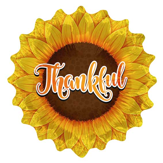 Manufactured by Convergram in Mexico measuring 9 Inches with message Thankful Sunflower. Balloon is shown uninflated.