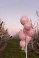 Not Inflated 17" Romey Pearl Pink Tuftex Latex Balloons (25 Per Bag) Brand Name Maple City Rubber Made in the US and Canada