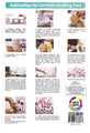 The Colour Wheel Confetti Stuffing Tools For 12"-18" Balloons include an instruction sheet with step-by-step text and photos guiding you to easily fill clear latex balloons with confetti using the specialized tool.