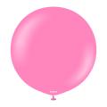 24 Inch Kalisan Balloons Latex Standard Queen Pink 5 Pack