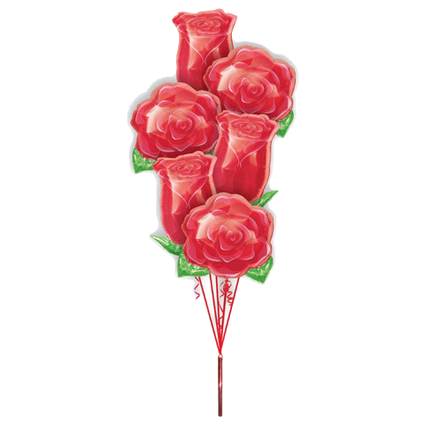 Red Roses Balloon Bouquet