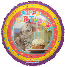 9 inch airfill only happy birthday cat balloon 19106 09