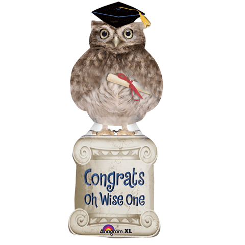 Wise Owl Grad Balloon