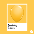 Goldenrod Swatch Pioneer Qualatex Latex Balloons 